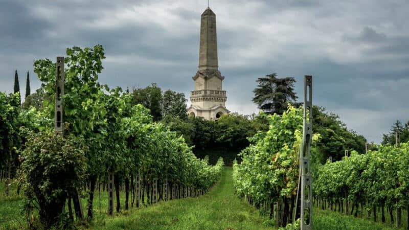 Custoza, between history and wine – Verona