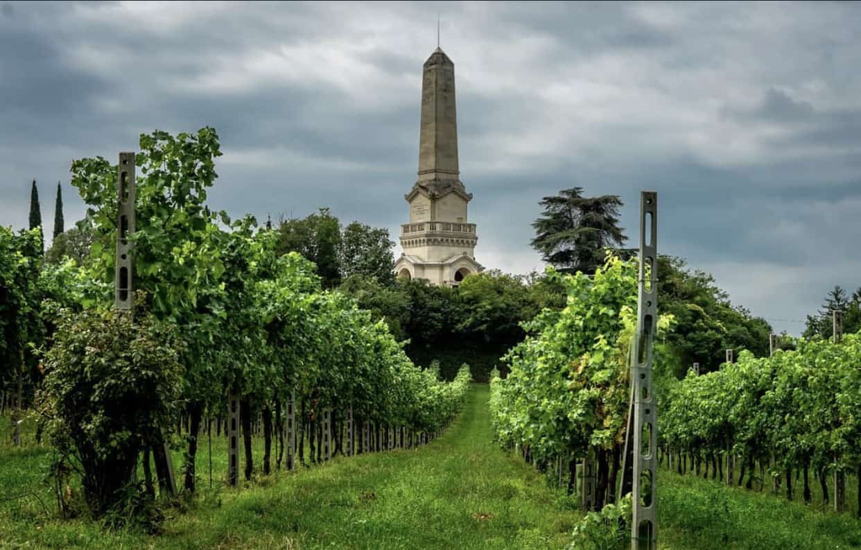 Custoza, between history and wine – Verona