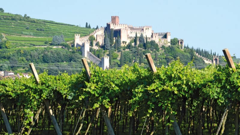 Соаве, замок и виноградники — Верона