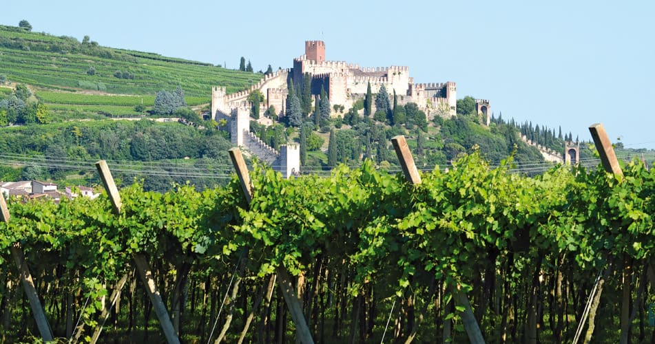Soave, the Castle and the vineyards – Verona