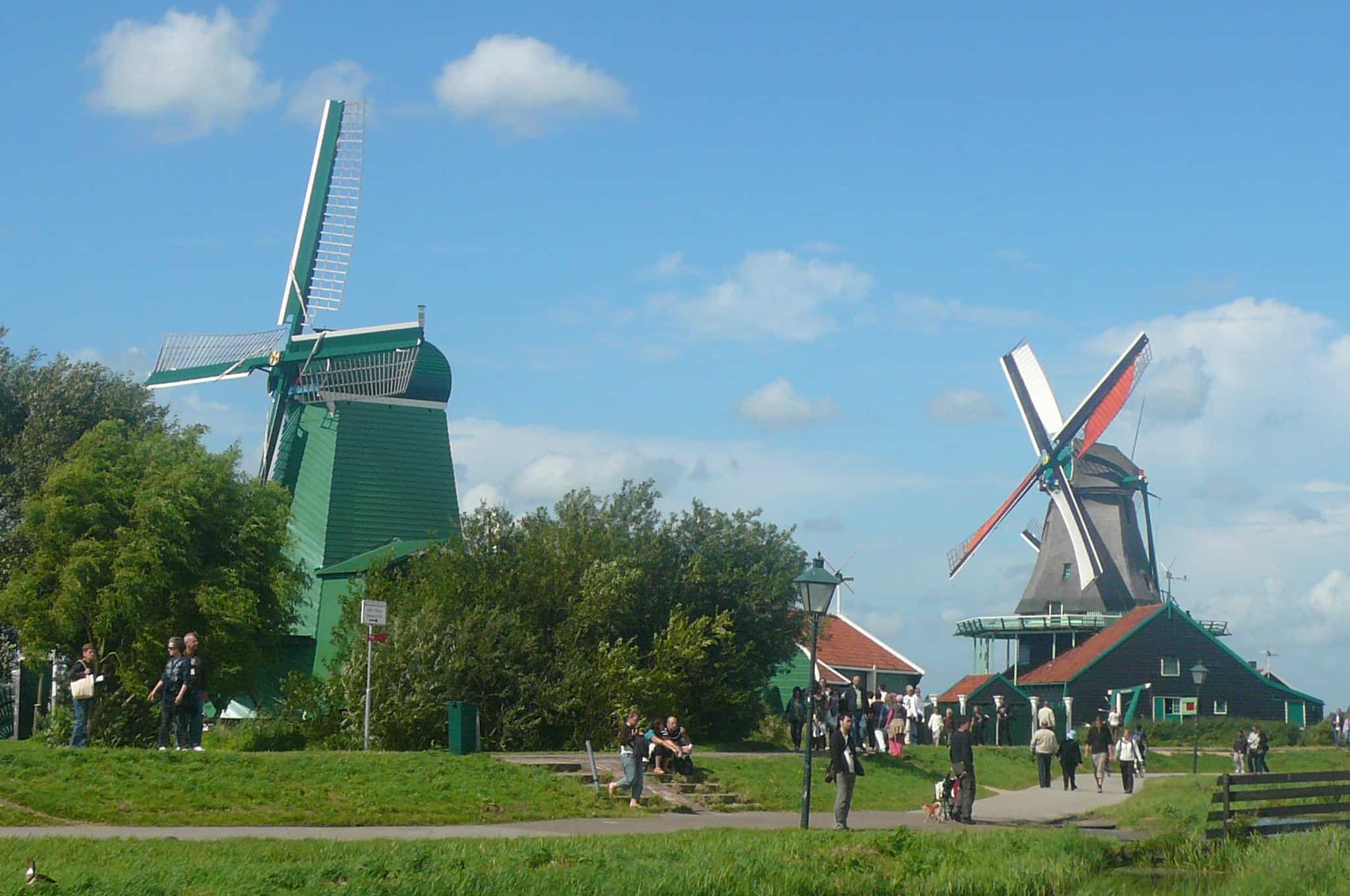The Windmills